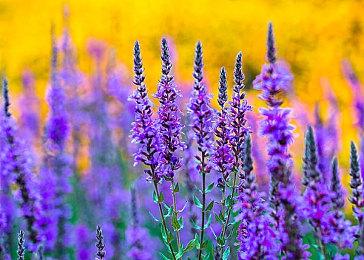 《恶魔凝视EXTRA》在韩国评级 将登陆Steam平台